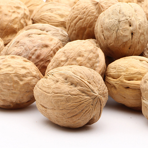 黄龙核桃黄龙核桃在国外,人称"大力士食品","营养丰富的坚果","益智果